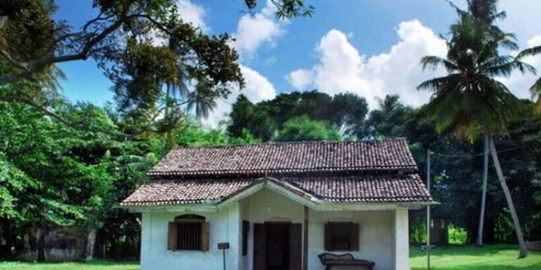 From Galle: Hidden Temples, Snakes & Coastlines Tour - Practical Details and What You Need to Know
