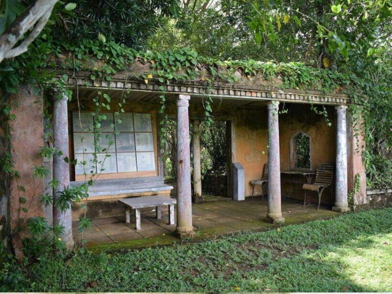 From Galle/Hikkaduwa: Discover Lunuganga & Brief Garden - Practical Details and Value Analysis