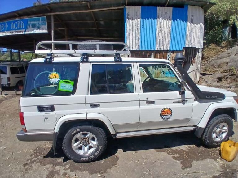 From Gondar: Simien Mountains Four-Day Guided Trek - What’s Included and What’s Not