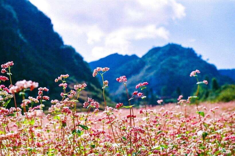 From Ha Giang: 2-Days 1-Night Ha Giang Loop Motorbike Tour - Itinerary Breakdown