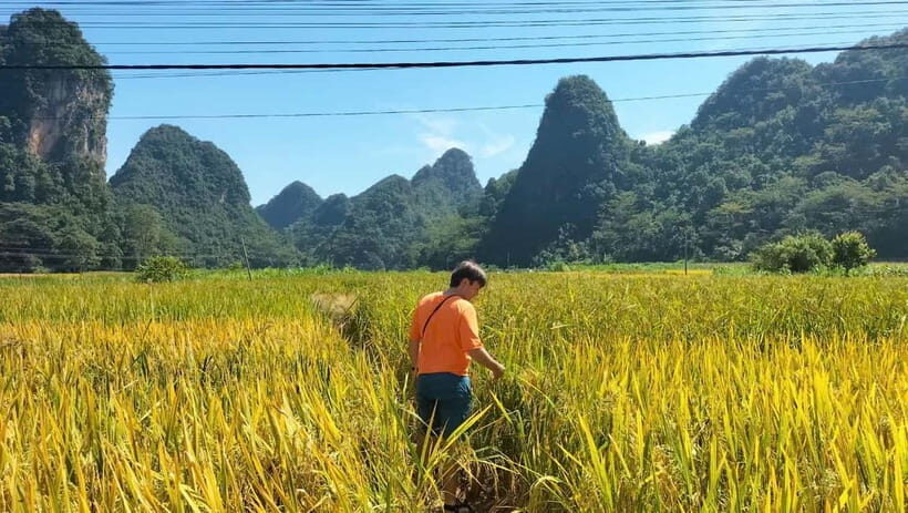 From Ha Noi: 3-Day Cao Bang Loop Tour Visit Local Village - Why This Tour Offers Great Value