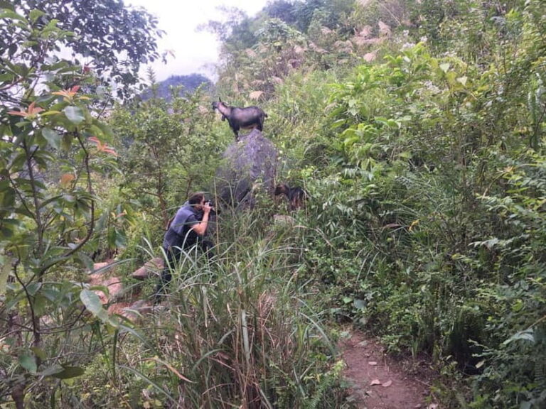 From Ha Noi: Cao Bang Loop Trekking Tour : 2 Day 1 Night - What Makes This Tour Stand Out?