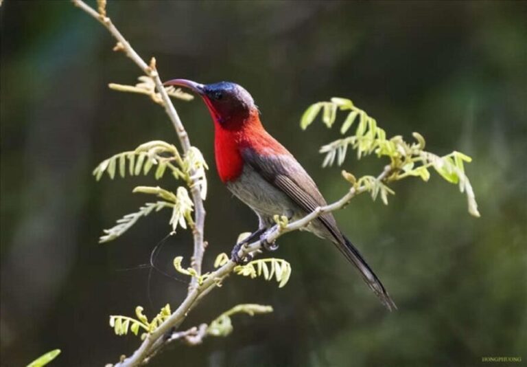 From Ha Noi Cuc Phuong National Park - Transport and Logistics