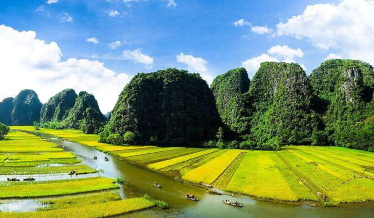 From Ha Noi: Hoa Lu, Trang An, Mua Cave Tour Daily Full Day - Transport, Group Size, and Overall Value