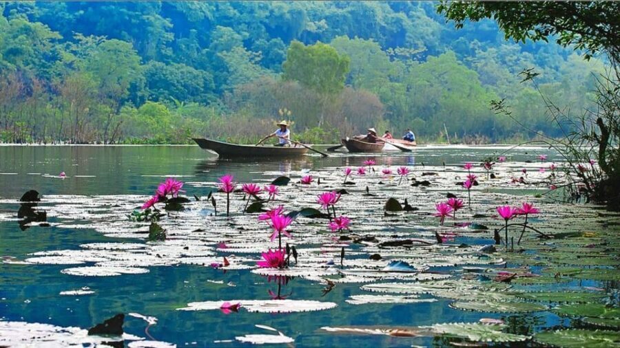 From Ha Noi: Visit Perfume Pagoda In 1 Day - What’s Included and What’s Not