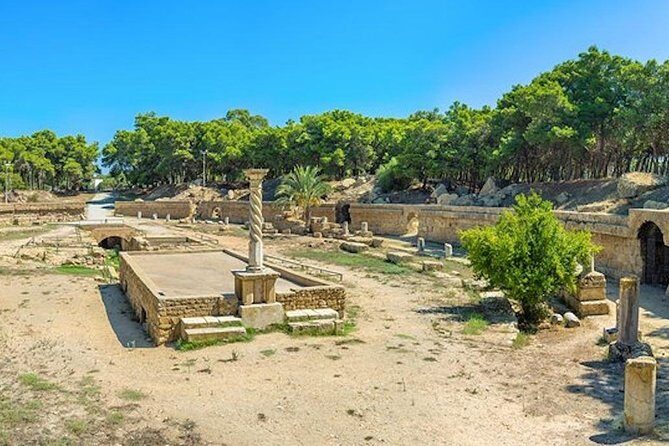 From Hammamet or Tunis: Carthage, Bardo, Sidi Bou said and Medina - Who Is This Tour Best For?