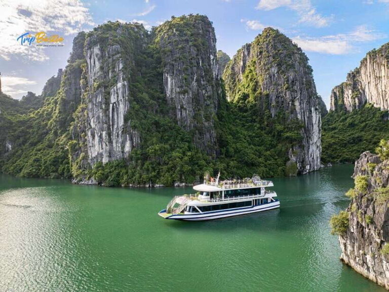 From Hanoi: 1 Day Ha Long Bay Luxury Cruise With Buffet - Practical Aspects and Value