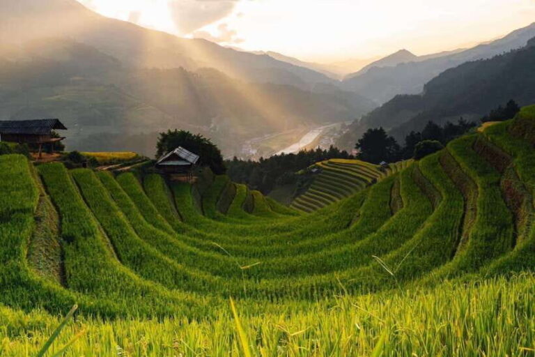 From Hanoi: 1-day Sapa Trekking Tour With Overnight Bus - What Makes This Tour Stand Out
