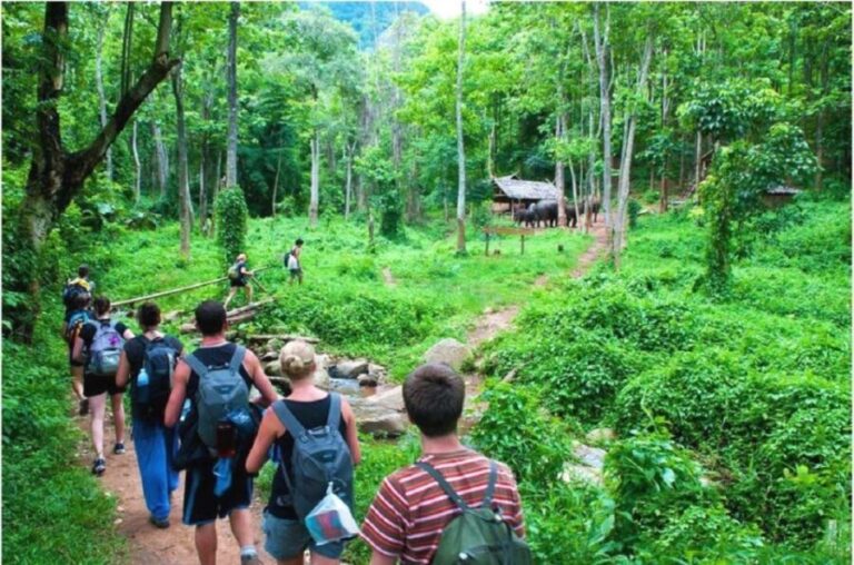 From Hanoi: 2-Day Ha Long Bay Tour with Ninh Binh and Cruise - Who Will Love This Tour?