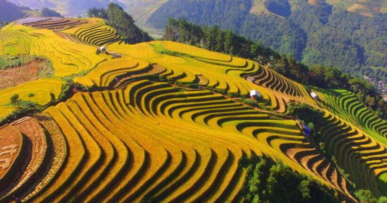 From Hanoi: 2-Day Sapa Trekking Tour (Sleep at hotel) - What’s Included and What’s Not