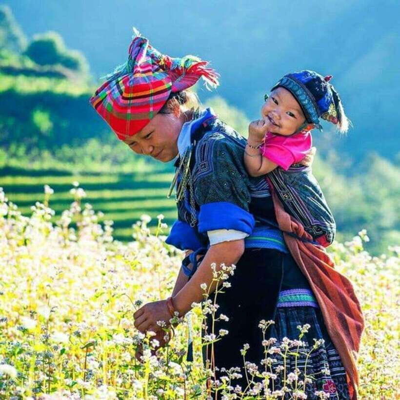 From Hanoi: 3-Day Guided Tour of Sapa with 3-Star Hotel - Who Will Enjoy This Tour?