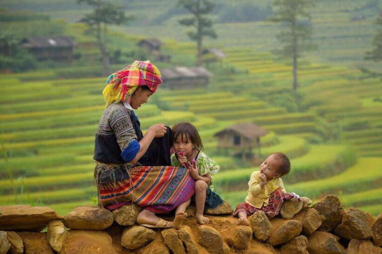 From Hanoi: 3-Day Sapa, Fansipan, Ninh Binh Tour with Meals - Transportation and Practicalities