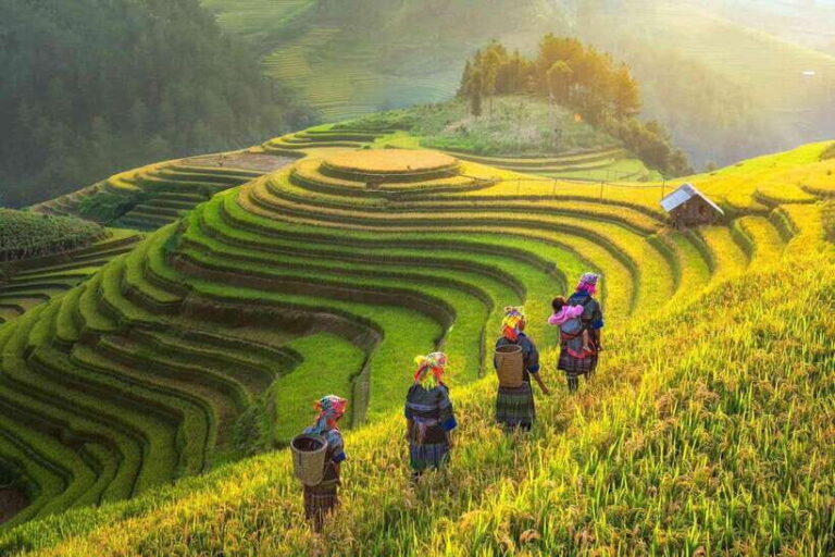 From Hanoi: 3-Day Sapa Trekking (sleep at hotel & homestay) - Transportation and Group Size