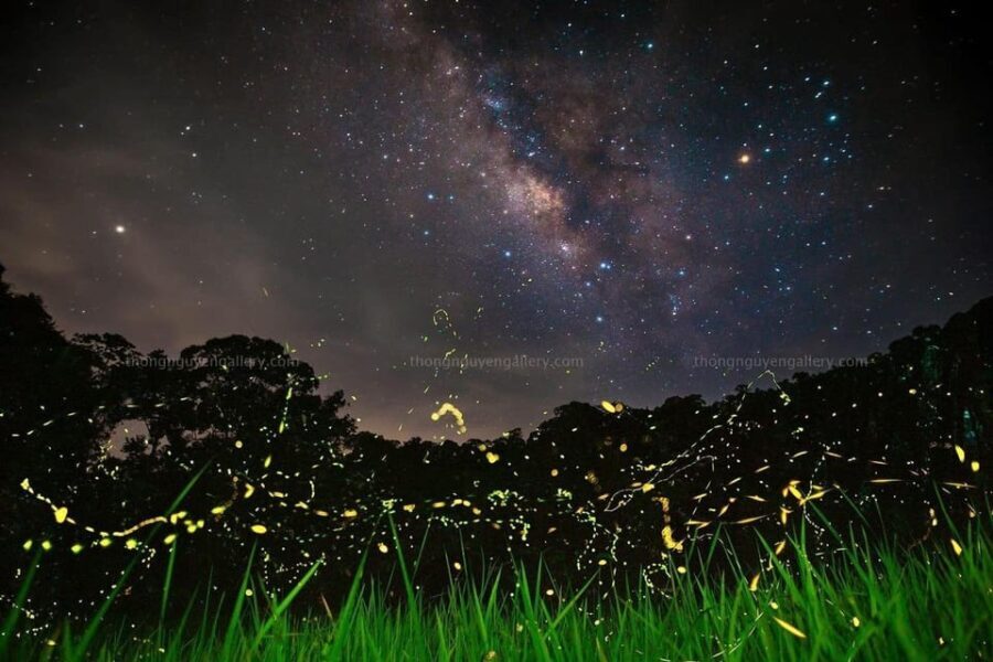 From Hanoi Explore Fresh Nature, See Wild Animal & Fireflies - Who Will Love This Tour?