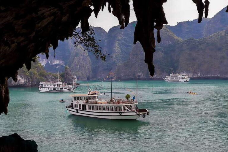 From Hanoi: Ha Long Bay Save-Cost Tours - Big & Small Groups - Authentic Experiences and Real Traveller Feedback