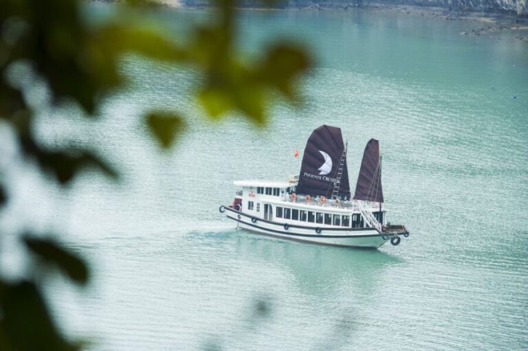 From Hanoi: Halong day trip, Route 2, 6hours, Small group - What Do the Reviews Say?