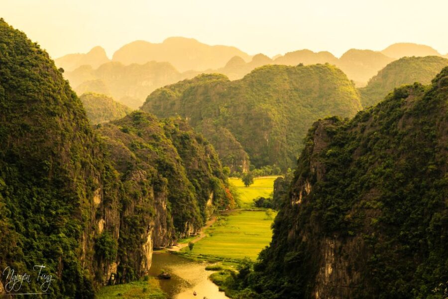 From Hanoi: Hoa Lu, Hang Mua Hike, Tam Coc Boat, and Lunch - The Mua Cave Hike — A Sweeping View of Ripe Rice Fields