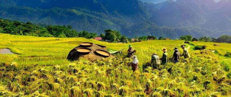 From Hanoi: Mai Chau, Pu Luong, Ninh Binh 3-Day Tour - Exploring the Itinerary in Detail