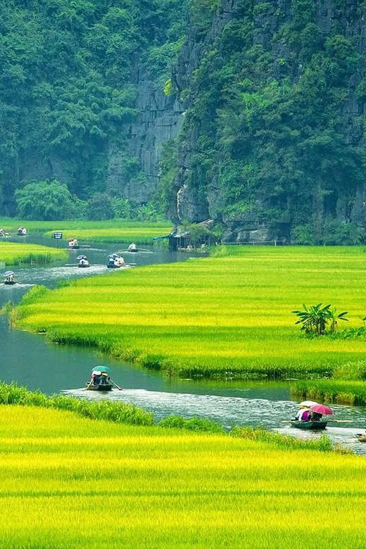 From Hanoi: Ninh Binh, Hoa Lu, Tam Coc and Mua cave - A Practical Guide to the Ninh Binh Day Trip