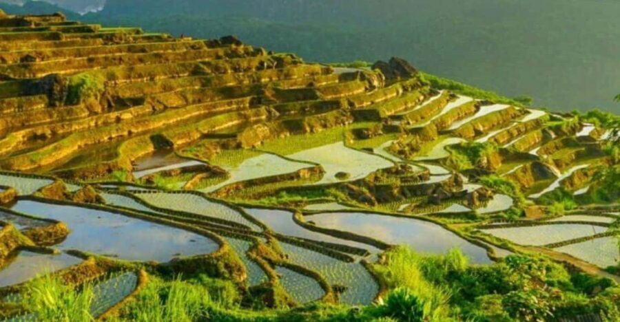 From Hanoi: Pu Luong Nature Reserve Vacation 2D1N - Authentic Experiences and Highlights
