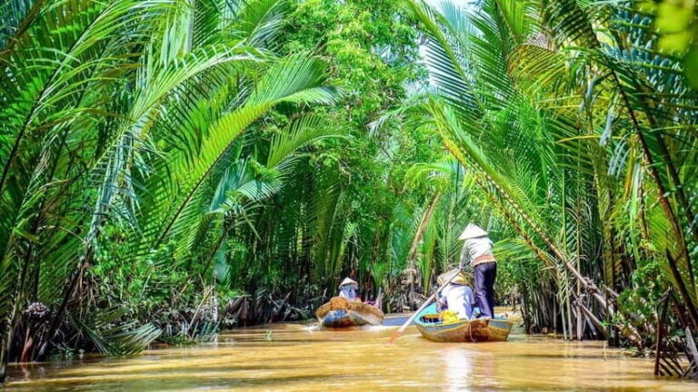 From HCMC: Cai Rang Floating Market & Mekong Delta Private - A Deep Dive into the Experience