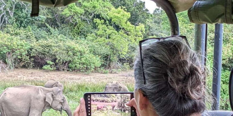 From Hikkaduwa/ Galle/ Mirissa - Yala National Park Safari - Entering Yala National Park: What the Safari Looks Like