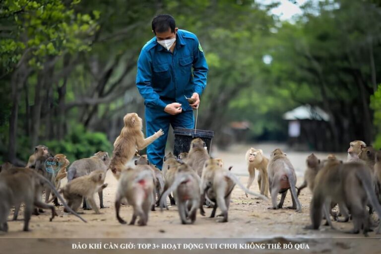 From Ho Chi Minh: Can Gio Mangrove Forest & Monkey Island - What Makes This Tour Stand Out?