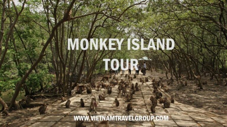 From Ho Chi Minh City: Can Gio Mangrove Guided Forest Tour - What to Expect and Practical Tips