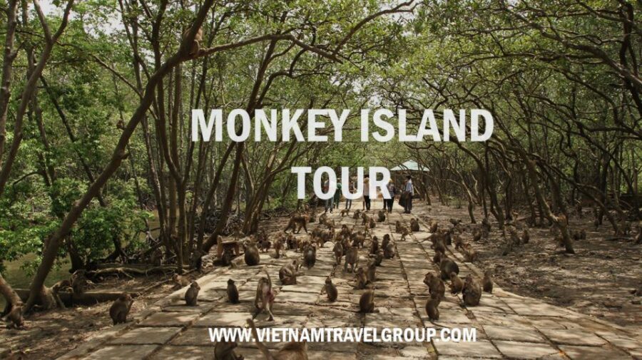 From Ho Chi Minh City: Can Gio Mangrove Guided Forest Tour - What to Expect and Practical Tips