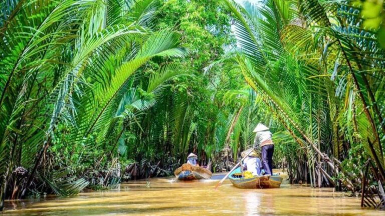 From Ho Chi Minh City: Visit Mekong Delta & Ben Tre In 1 Day - What You Can Expect on This Tour