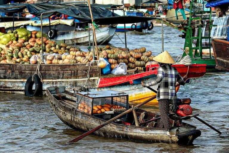 From Ho Chi Minh: Mekong & Cai Rang Floating Market 2D1N - Practical Considerations & Value