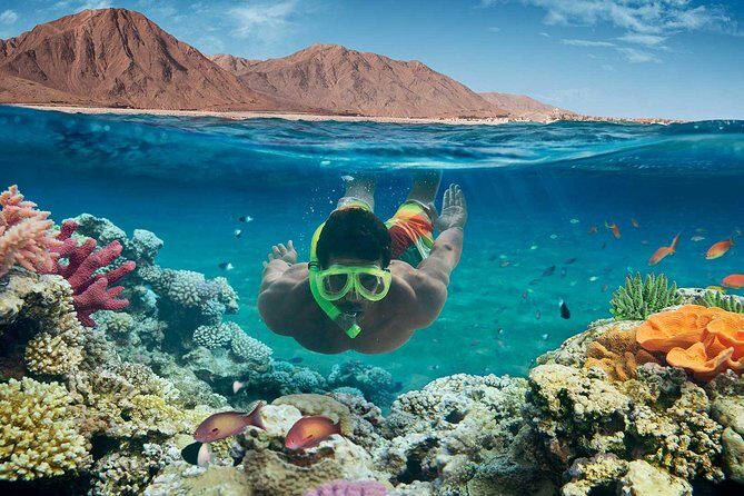 From Hurghada: Orange Bay Snorkeling Trip with Lunch - The Buffet Lunch and Refreshments