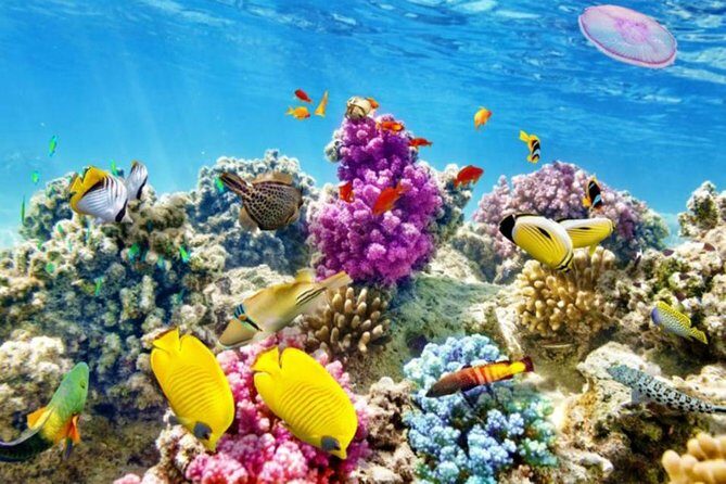 From Hurghada: Paradise Island Full-Day Snorkeling Tour - Practical Details