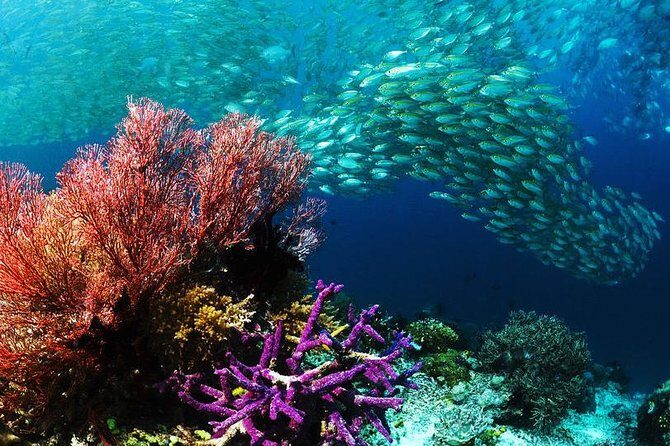 From Hurghada: Sharm El Naga Full-Day Snorkeling Tour - The Practicalities: What the Tour Includes