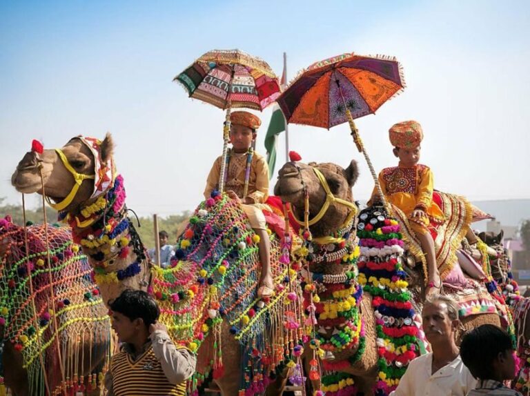 From Jaipur: One-Day Trip From Jaipur to Pushkar - Is This Tour Worth It?