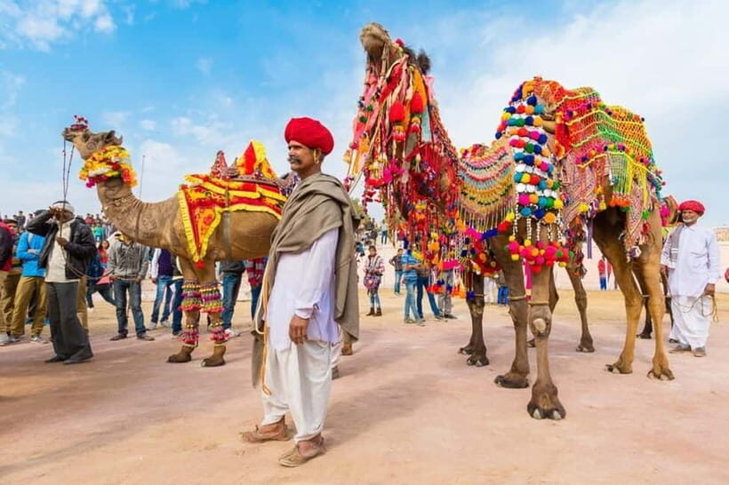 From Jaipur: Private Same Day Ajmer & Pushkar Day Trip - Authentic Insights from Travelers