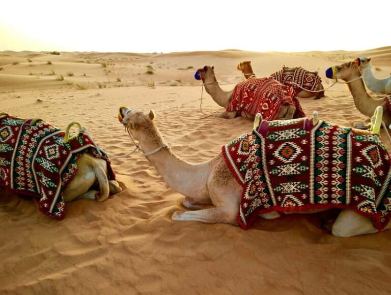 From Jaipur: Pushkar and Ajmer Private Day Trip - Introduction
