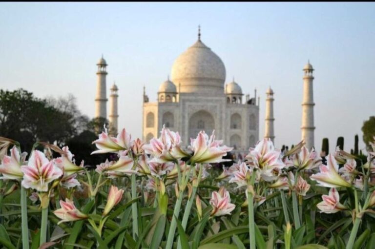 From Jaipur : Taj Mahal & Agra Fort Day Tour with Lunch - Why This Tour Offers Great Value