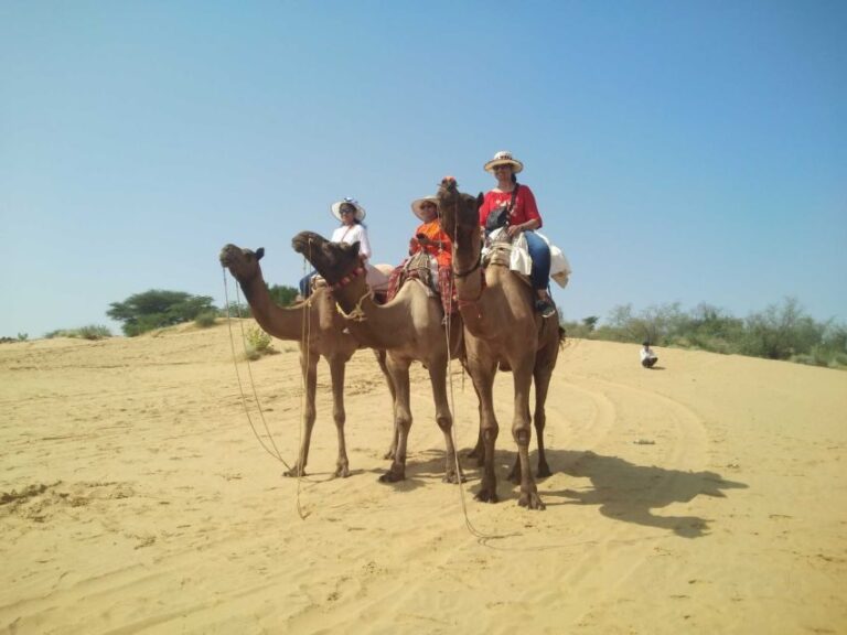 From Jodhpur: Guided Day Trip to Osian with Camel Safari - What to Expect During Your Day in Osian