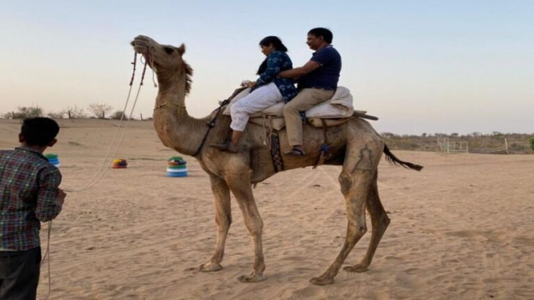 From Jodhpur: Half-Day Tour, Camel Ride, & Dinner in Osian - Analyzing the Value