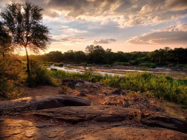 From Johannesburg: 3-Day Budget Tent Kruger Park Safari - Detailed Review of the Experience