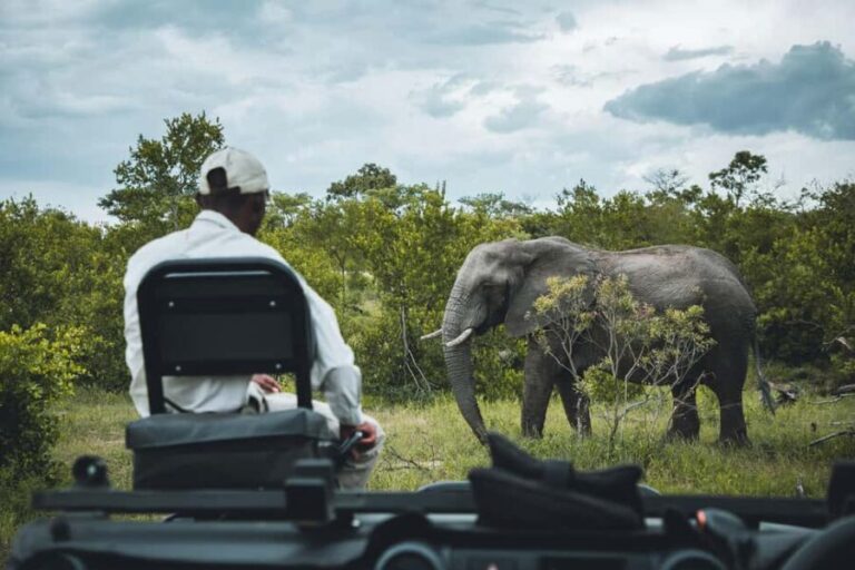 From Johannesburg: 3-Day Kruger National Park Safari - What’s Included & What’s Not