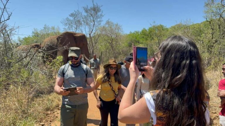 From Johannesburg: Elephant and Monkey Sanctuary Day Trip - Who Will Appreciate This Tour?