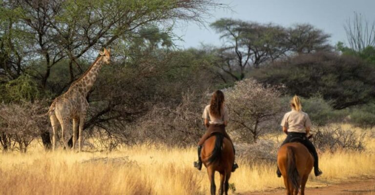 From Johannesburg: Horse-Riding Safari - What the Tour Includes and What It Doesn’t