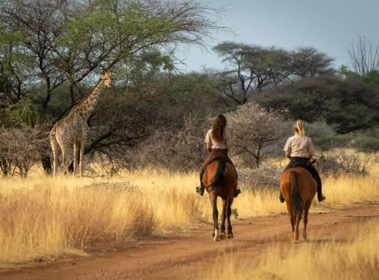 From Johannesburg: Horse-Riding Safari and Cable Car Tour - Who Will Love This Tour?