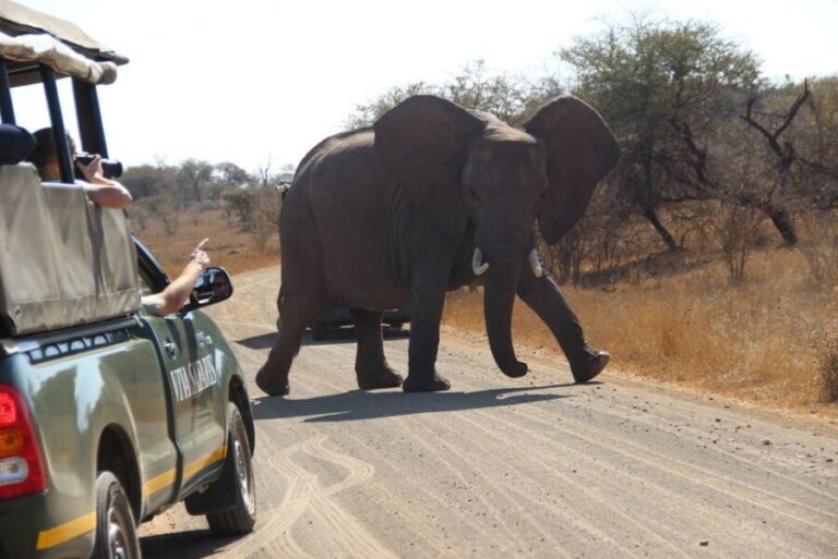 From Johannesburg: Kruger National Park 5-Day Luxury Safari - Authentic Experiences That Matter