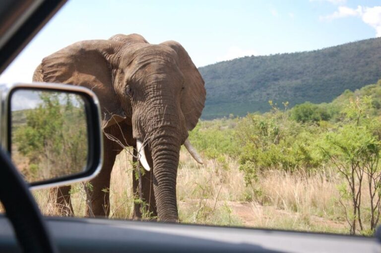From Johannesburg: Pilanesberg National Park Safari - FAQ