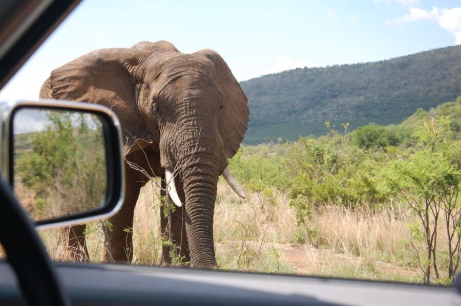 From Johannesburg: Pilanesberg National Park Safari - FAQ