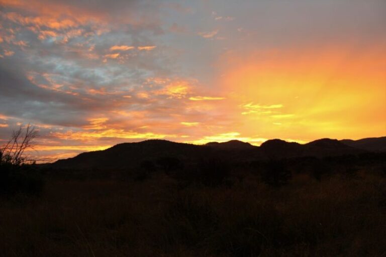 From Johannesburg: Pilanesberg Nature Reserve Game Safari - What’s Included and What’s Not
