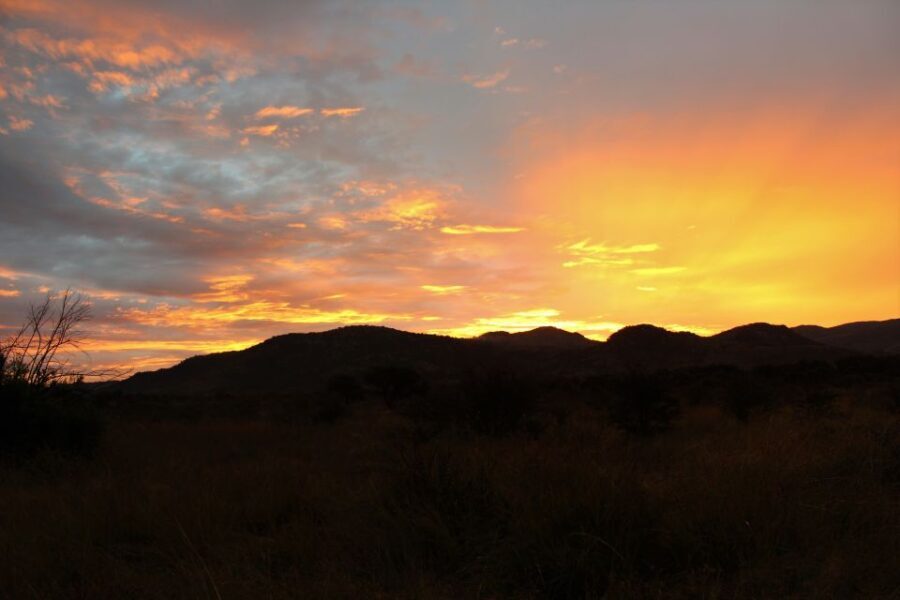 From Johannesburg: Pilanesberg Nature Reserve Game Safari - What’s Included and What’s Not